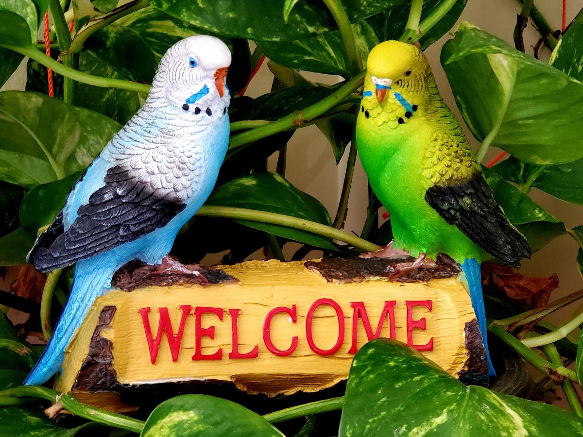 Real look Budgie Love Bird WELCOME sign statue for Home Garden Decor Gift